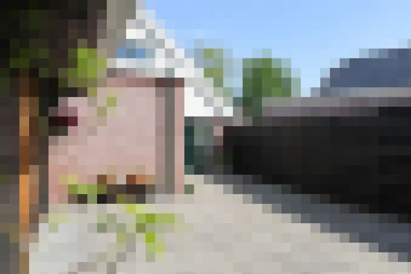 Achterwei 32 Oudega thumbnail 60