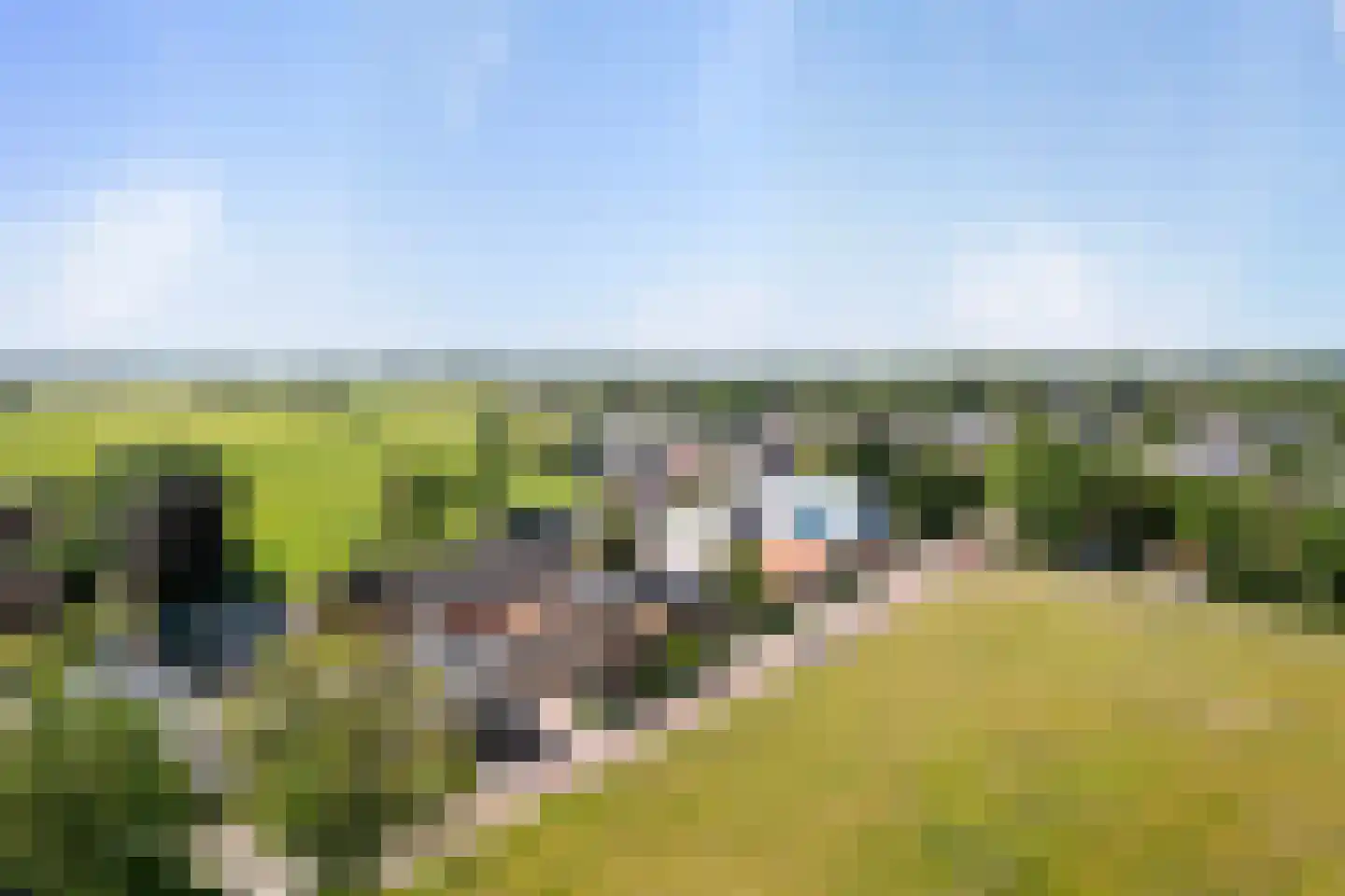Achterwei 32 Oudega thumbnail 68