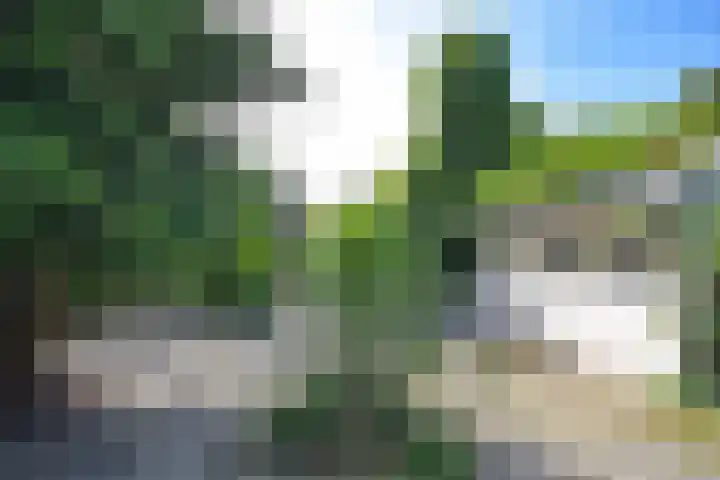 Achterwei 50 Feanwâlden thumbnail 10