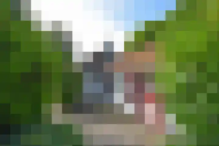 Achterwei 50 Feanwâlden thumbnail 11