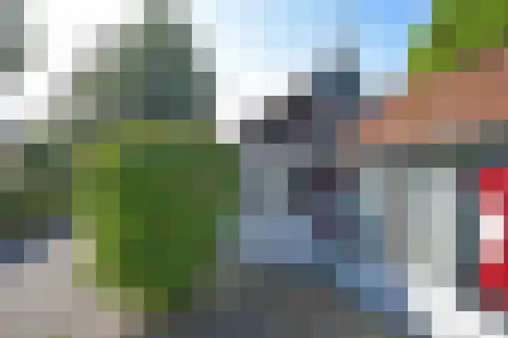 Achterwei 50 Feanwâlden thumbnail 12