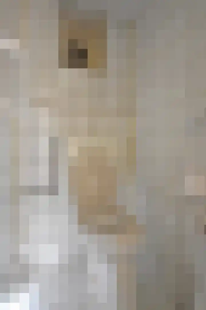 Achterwei 50 Feanwâlden thumbnail 19