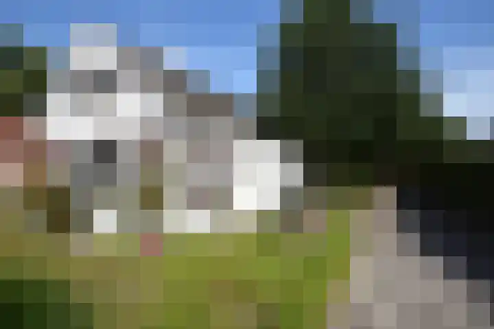Achterwei 50 Feanwâlden foto 2