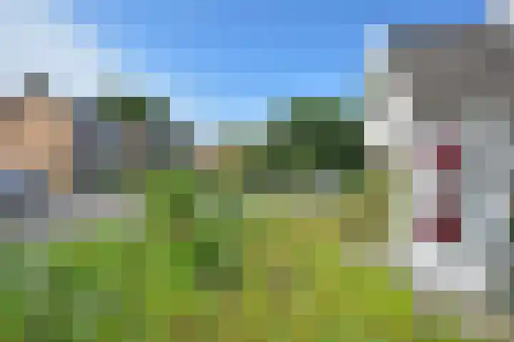 Achterwei 50 Feanwâlden thumbnail 4