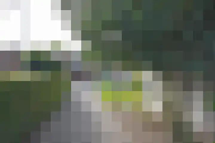 Achterwei 50 Feanwâlden thumbnail 5
