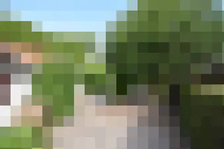 Achterwei 50 Feanwâlden thumbnail 7