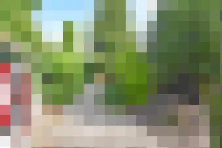 Achterwei 50 Feanwâlden thumbnail 8