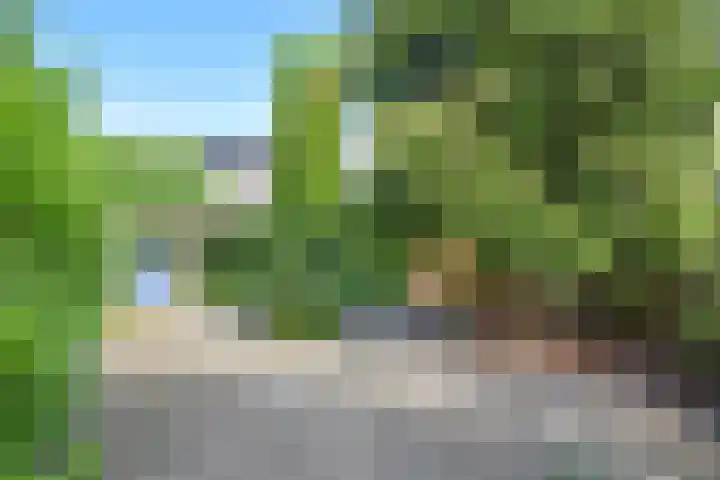 Achterwei 50 Feanwâlden thumbnail 9