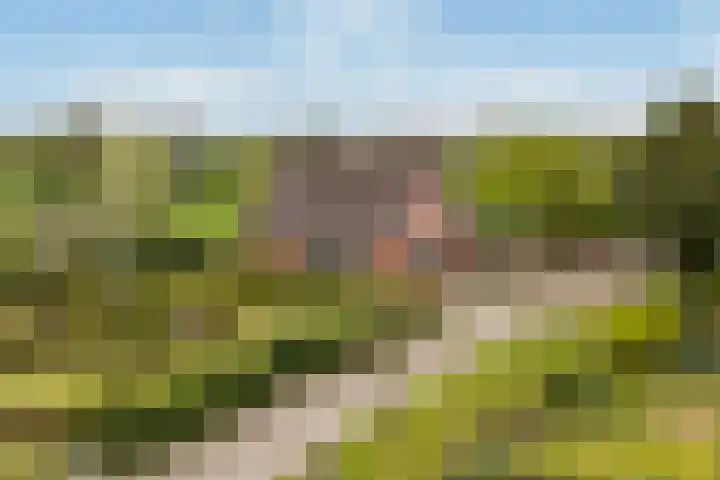 Achterwei 7 en Damwâld