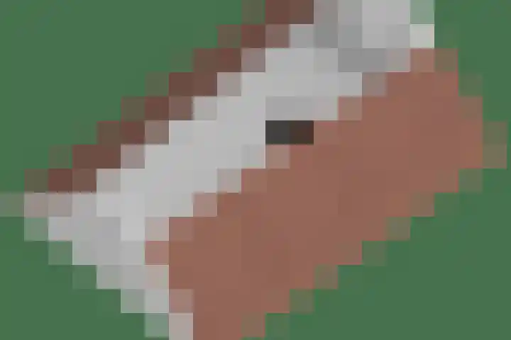 Achterwei 7 Damwâld