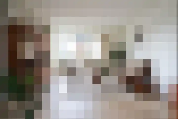 Achterwei 9 Oudega thumbnail 24