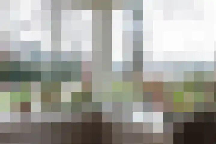 Achterwei 9 Oudega thumbnail 28