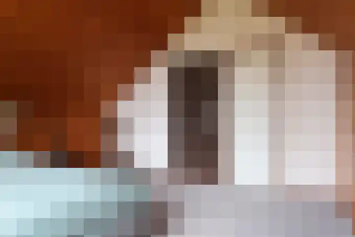 Achterwei 9 Oudega thumbnail 44