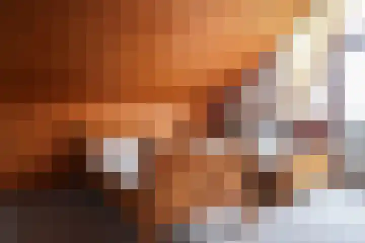 Achterwei 9 Oudega thumbnail 48
