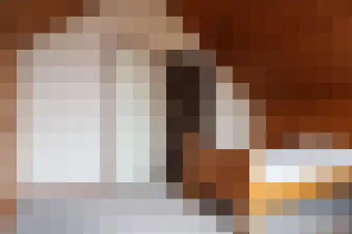 Achterwei 9 Oudega thumbnail 49