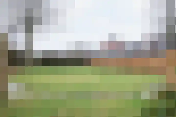 Achterwei 9 Oudega thumbnail 51