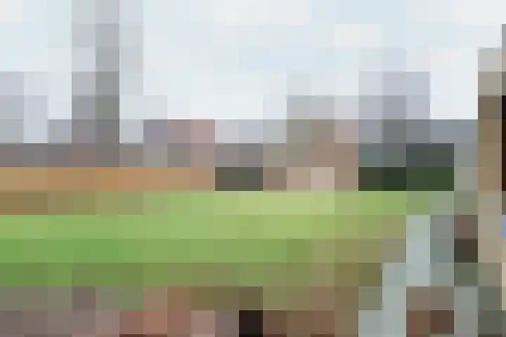 Achterwei 9 Oudega thumbnail 53
