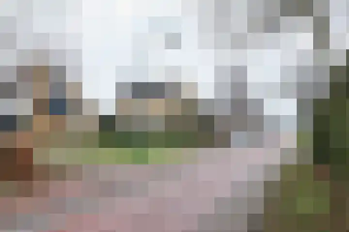 Achterwei 9 Oudega thumbnail 59