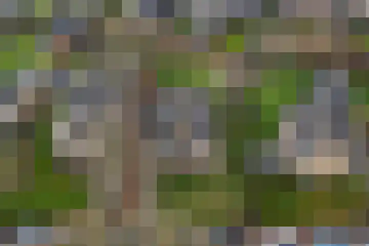 Achterwei 9 Oudega thumbnail 60