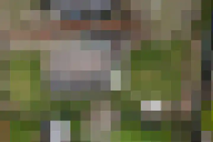 Achterwei 9 Oudega thumbnail 61