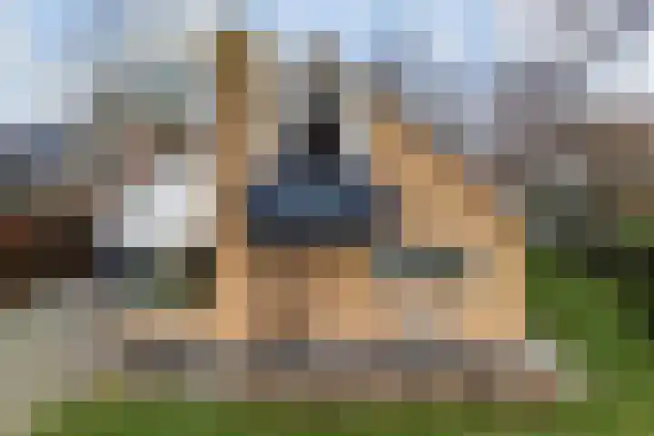 Achterwei 9 Oudega thumbnail 65