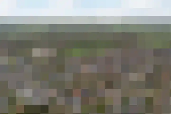 Achterwei 9 Oudega thumbnail 66