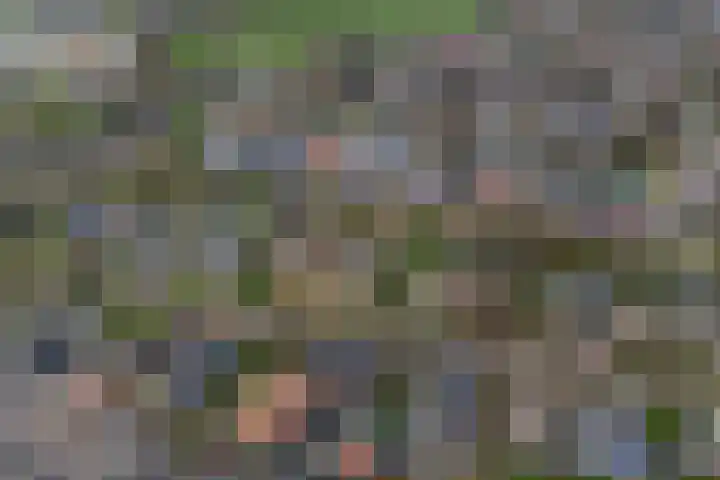 Achterwei 9 Oudega thumbnail 67