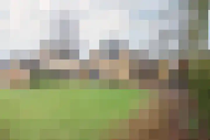Achterwei 9 Oudega thumbnail 7