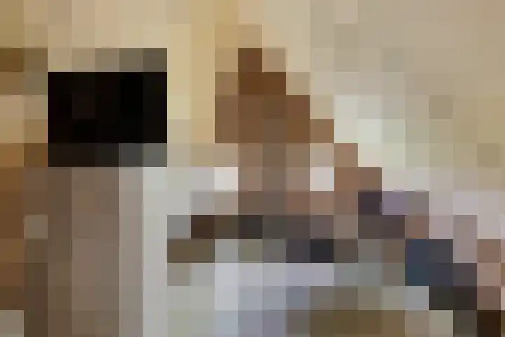 Achterwei 9 Wâlterswâld thumbnail 14