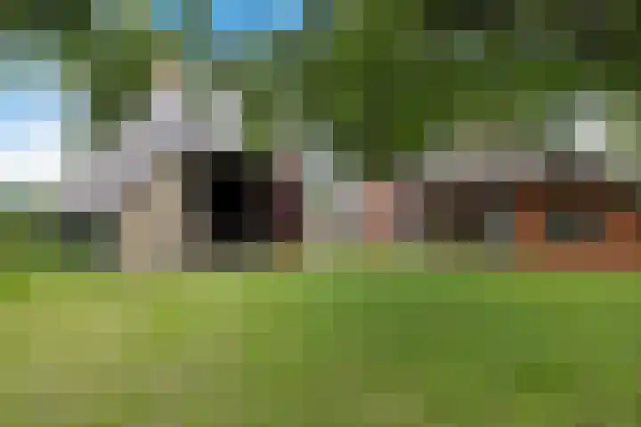 Achterwei 9 Wâlterswâld thumbnail 15
