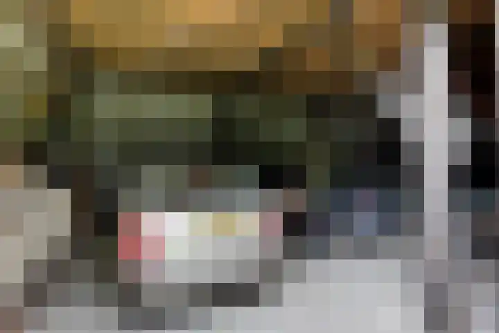 Achterwei 9 Wâlterswâld thumbnail 16