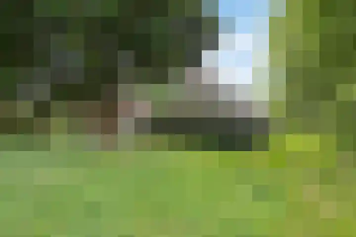Achterwei 9 Wâlterswâld thumbnail 19