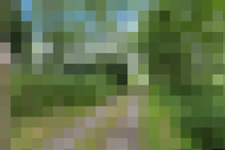 Achterwei 9 Wâlterswâld thumbnail 20