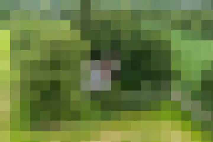 Achterwei 9 Wâlterswâld thumbnail 21
