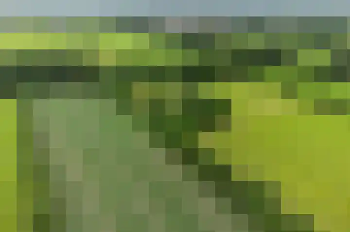 Achterwei 9 Wâlterswâld thumbnail 22