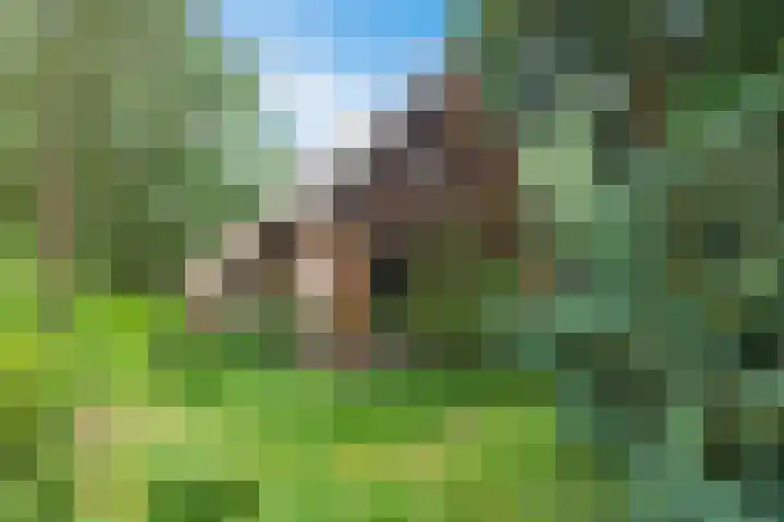 Achterwei 9 Wâlterswâld foto 3