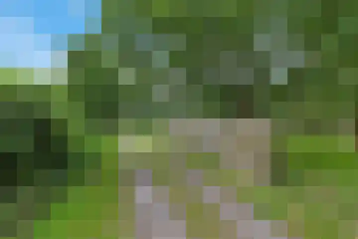 Achterwei 9 Wâlterswâld thumbnail 4