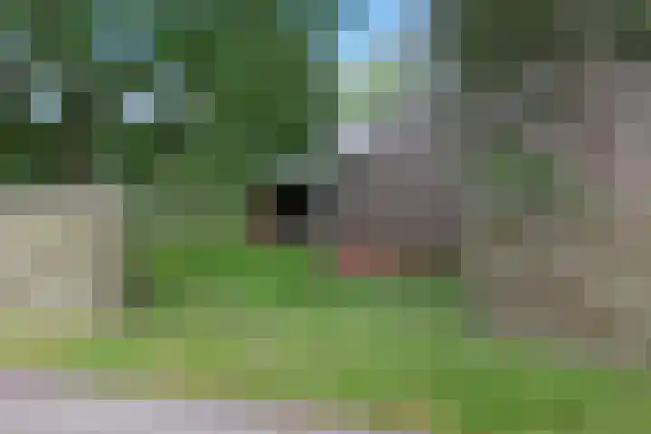 Achterwei 9 Wâlterswâld thumbnail 5