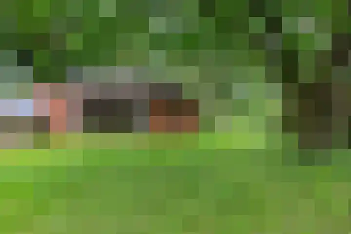 Achterwei 9 Wâlterswâld thumbnail 6