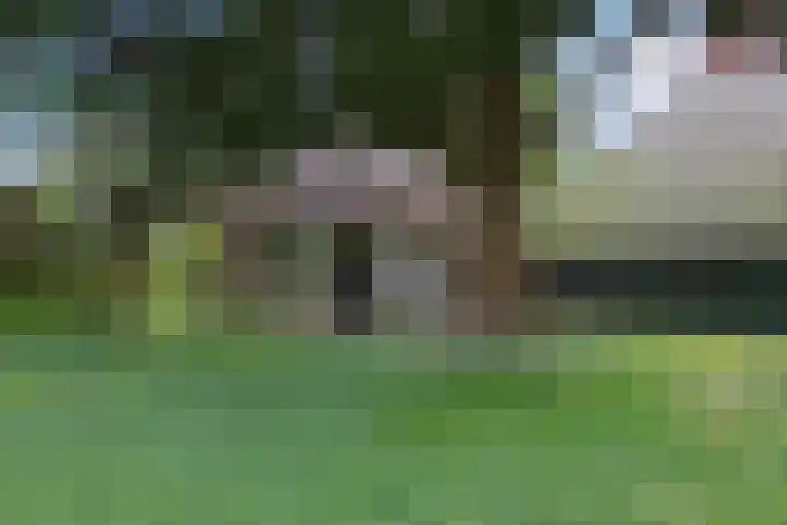 Achterwei 9 Wâlterswâld thumbnail 7