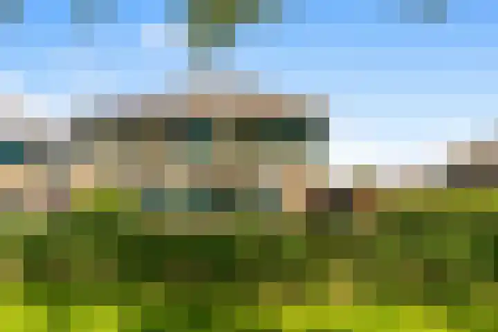 Achterweide 15 Castricum thumbnail 32