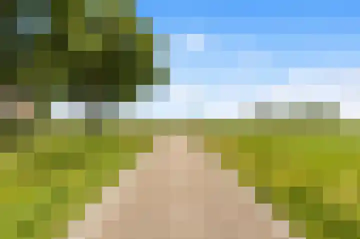 Achterweide 15 Castricum thumbnail 38