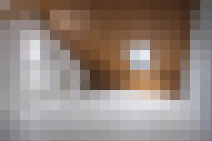 Achterwende 15 Arnhem thumbnail 32