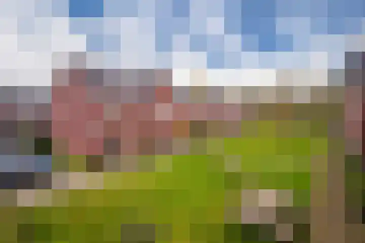 Achterwende 15 Arnhem thumbnail 35