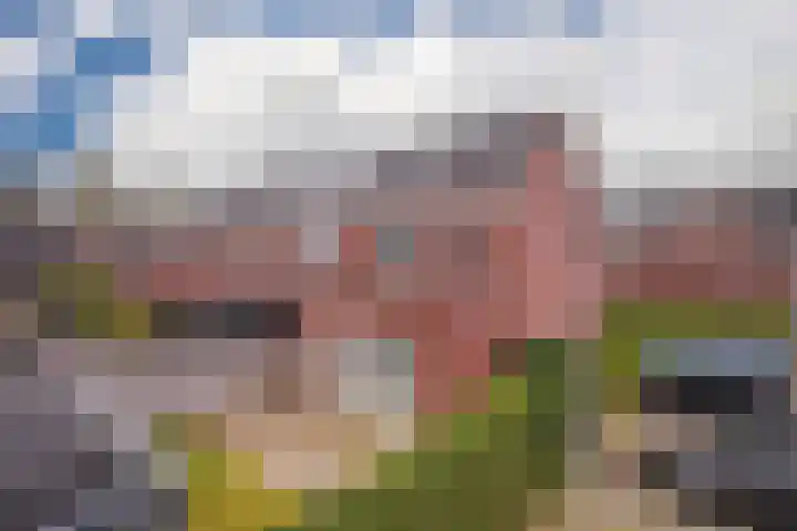 Achterwende 15 Arnhem thumbnail 36