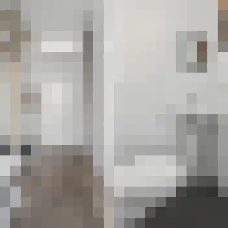 Achterwende 8 Arnhem thumbnail 11