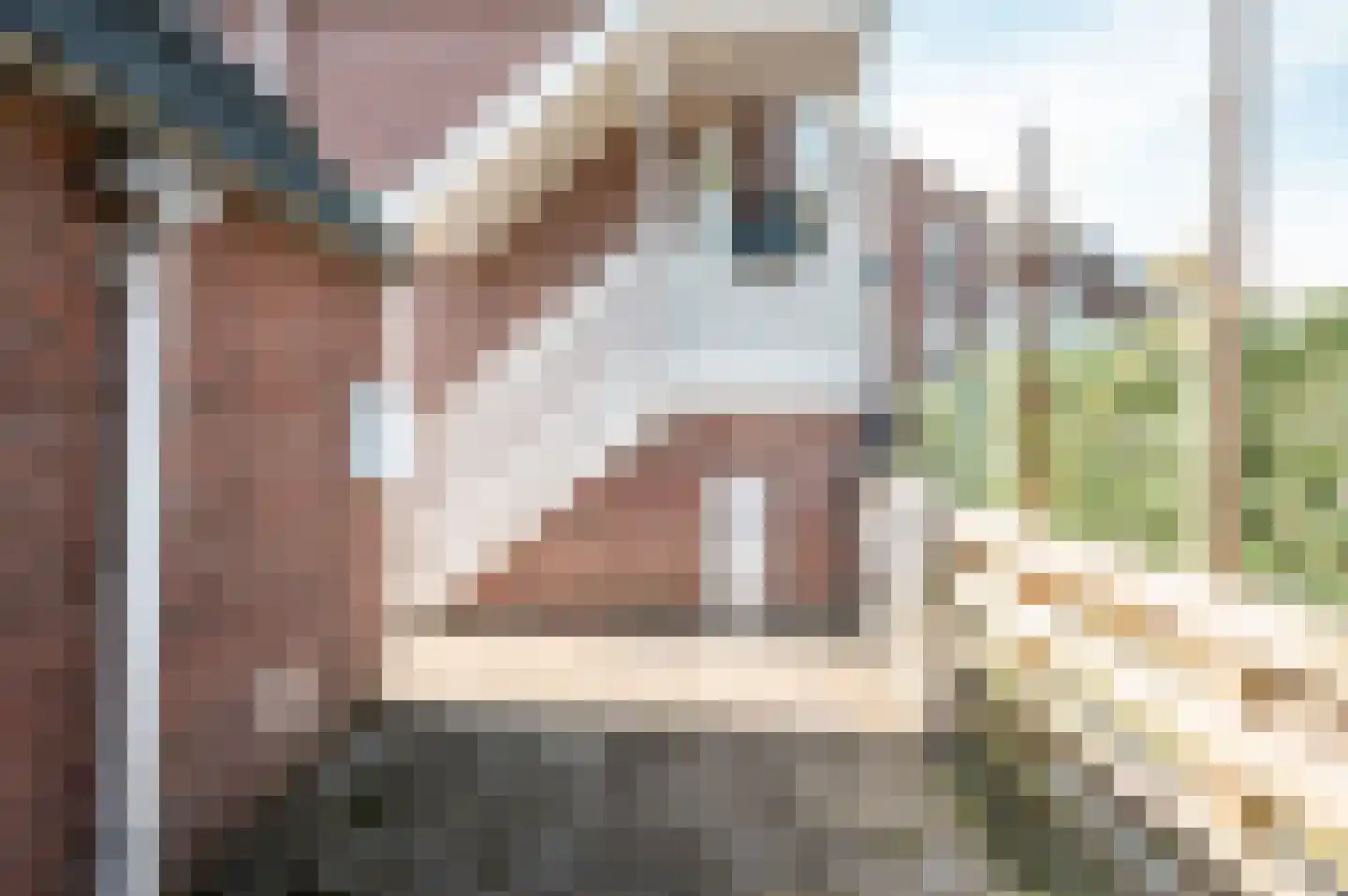 Achterwerf 105 Almere thumbnail 26