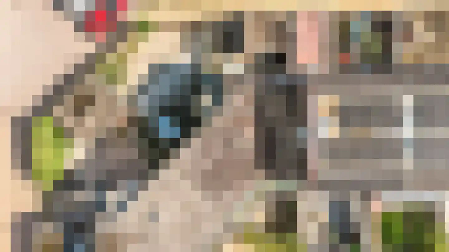 Achterwerf 105 Almere thumbnail 28