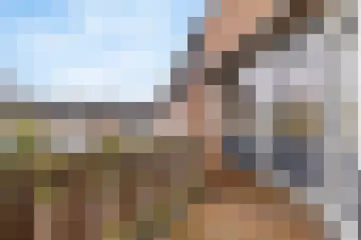 Achterwerf 117 Almere thumbnail 18