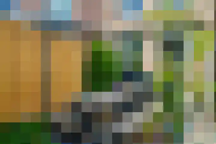 Achterwerf 117 Almere thumbnail 8